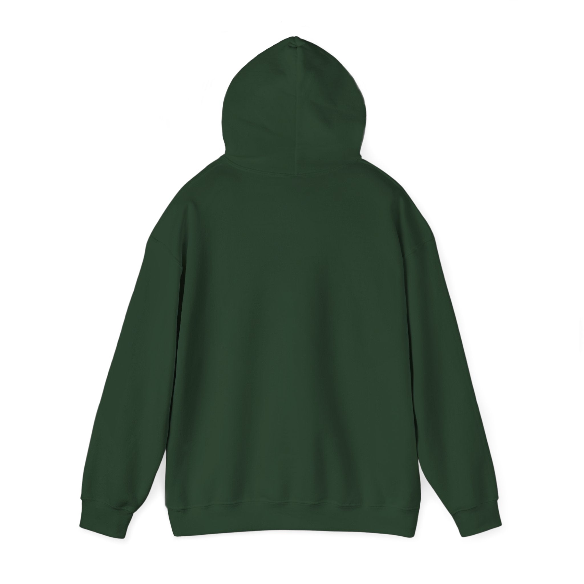 Need More Gain Hoodie