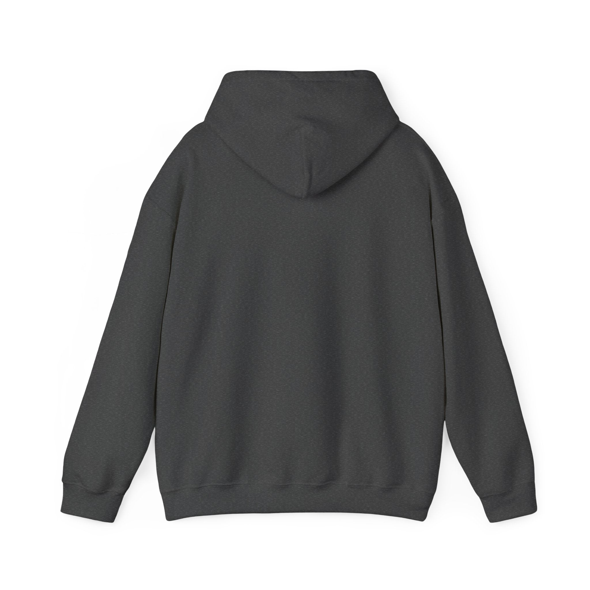 Dry/Wet Hoodie